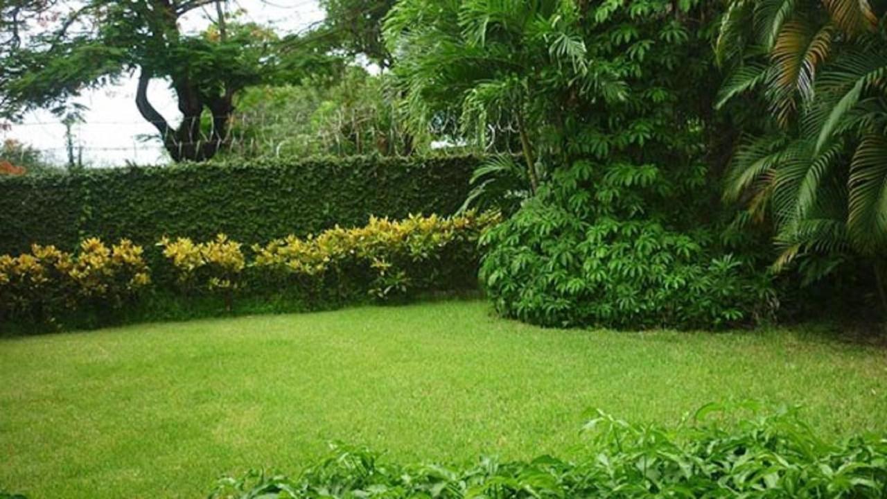 Hotel El Bramadero Liberia Eksteriør bilde